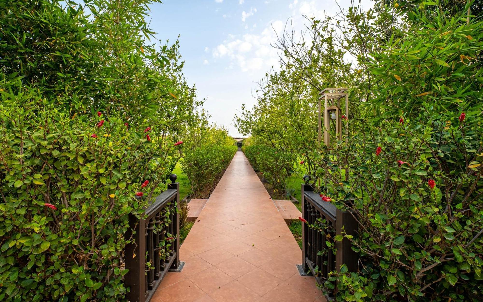 Hotel The Lemonary Marrakech Ouled Moumen Exterior foto